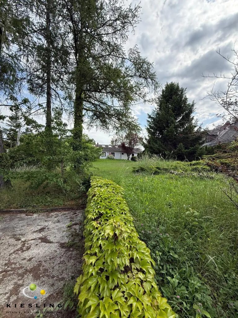 Großes Grundstück 1.686m² in Klosterneuburg - Ihr Bauplatz in Top-Lage - auch Teilung möglich – pohled 3