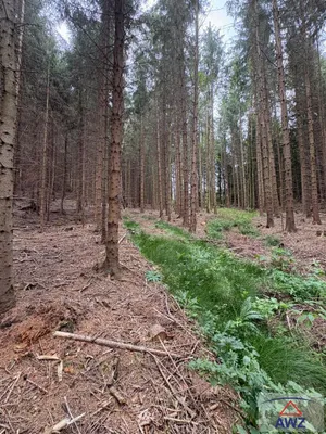 Grundstück kaufen in Melk – 82 000 m² – Bild 2 von 5