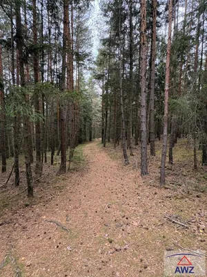 Grundstück kaufen in Melk – 82 000 m² – Bild 3 von 5