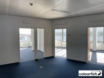 Gewerbeimmobilie mieten in Wien – 1 250 m², € 20.250 – Bild 7 von 10