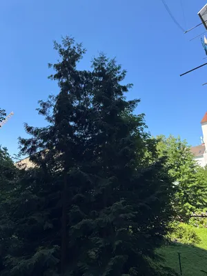 4-Zimmer-Wohnung mieten in Graz – 97 m², € 1.320 – Bild 16 von 16