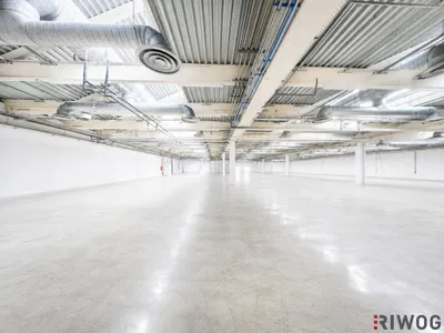 Gewerbeimmobilie mieten in Korneuburg – 1 283 m², € 10