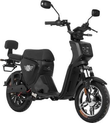 E.F.O EB250P Elektroroller 25/45 km/h - Jetzt in Aktion