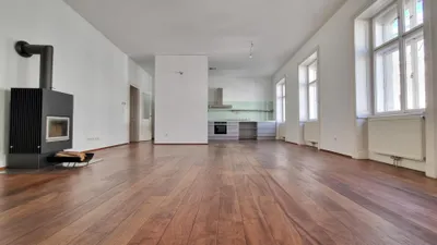 Wohnung zur Miete in 1010 Wien