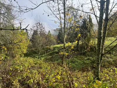 Grundstück kaufen in Klagenfurt Land – 1 500 m², € 115.000 – Bild 8 von 13