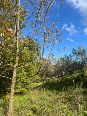 Grundstück kaufen in Klagenfurt Land – 1 500 m², € 115.000 – Bild 6 von 13