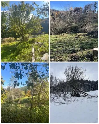 Grundstück kaufen in Klagenfurt Land – 1 500 m², € 115.000 – Bild 2 von 13