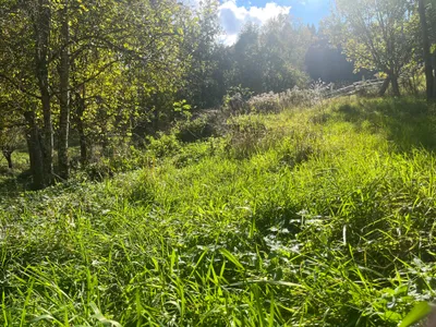 Grundstück kaufen in Klagenfurt Land – 1 500 m², € 115.000 – Bild 12 von 13