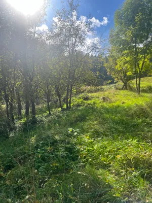Grundstück kaufen in Klagenfurt Land – 1 500 m², € 115.000 – Bild 9 von 13