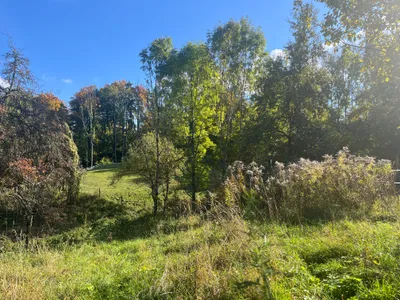 Grundstück zum Kauf in 9065 Klagenfurt Land