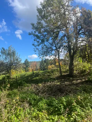 Grundstück kaufen in Klagenfurt Land – 1 500 m², € 115.000 – Bild 11 von 13