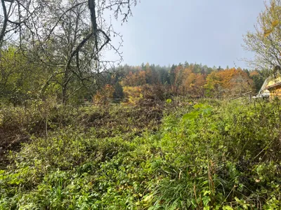 Grundstück kaufen in Klagenfurt Land – 1 500 m², € 115.000 – Bild 3 von 13