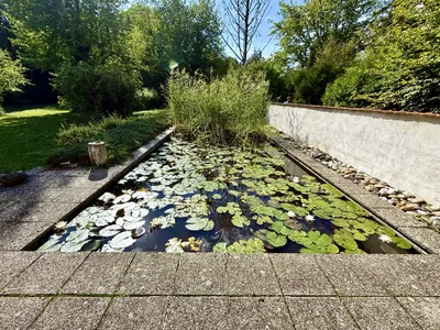 Haus kaufen in Hollabrunn – 751 m², € 1.050.000 – Bild 22 von 23