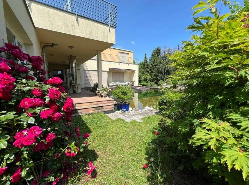 Unterhaus zwischen Enns und Kronstorf : Traum-Villa mit großem Garten und Schwimmteich - Ansicht 3