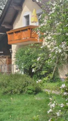 Wohnung mieten in Bruck-Mürzzuschlag – 36 m², € 330 – Bild 8 von 12