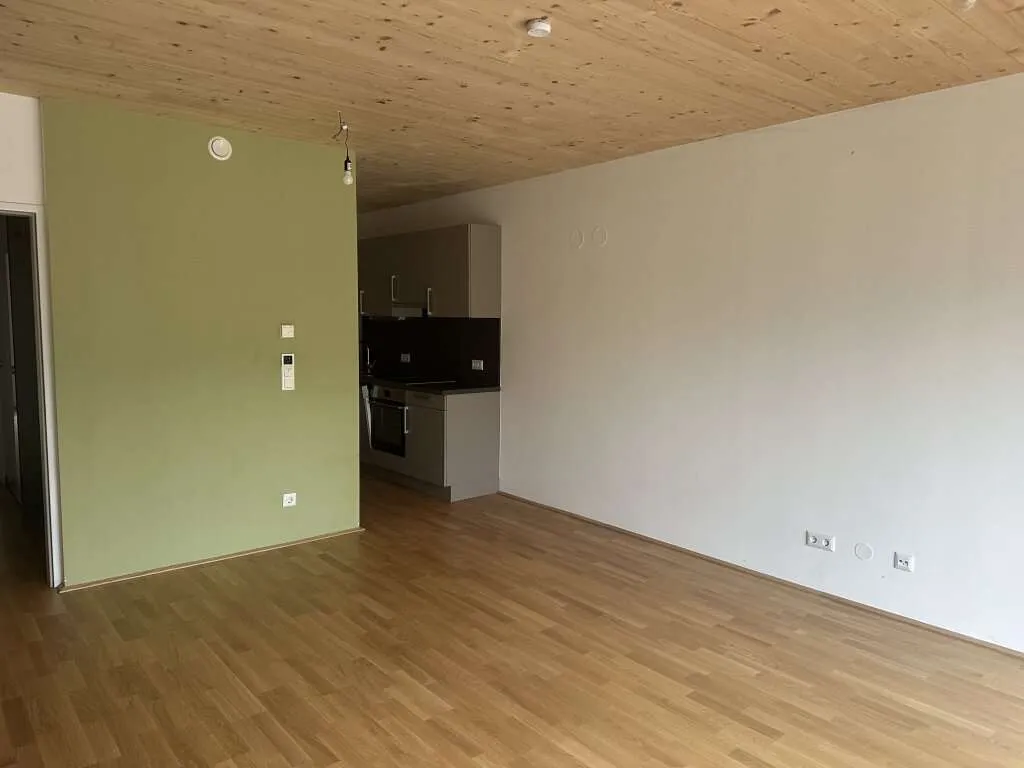 120 Meter zur U1 Oberlaa- Sonnige, barrierefreie südseitige Wohnung- inkl. Küche - Ansicht 3