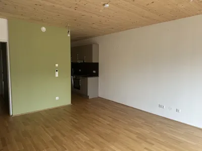 120 Meter zur U1 Oberlaa- Sonnige, barrierefreie südseitige Wohnung- inkl. Küche – Bild 3