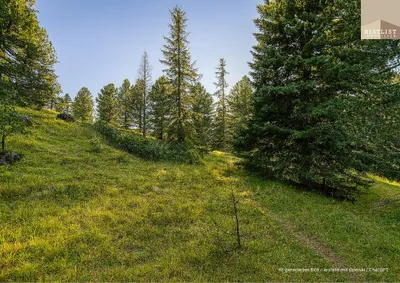 Grundstück kaufen in Feldkirchen – 665 m², € 665.000 – Bild 3 von 7