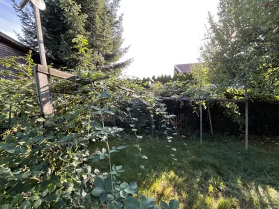 Grundstück kaufen in Braunau am Inn – 969 m², € 250.000 – Bild 5 von 7