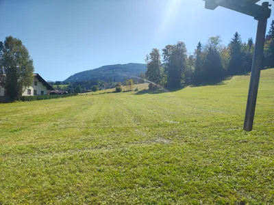 Grundstück zum Kauf in 8952 Liezen
