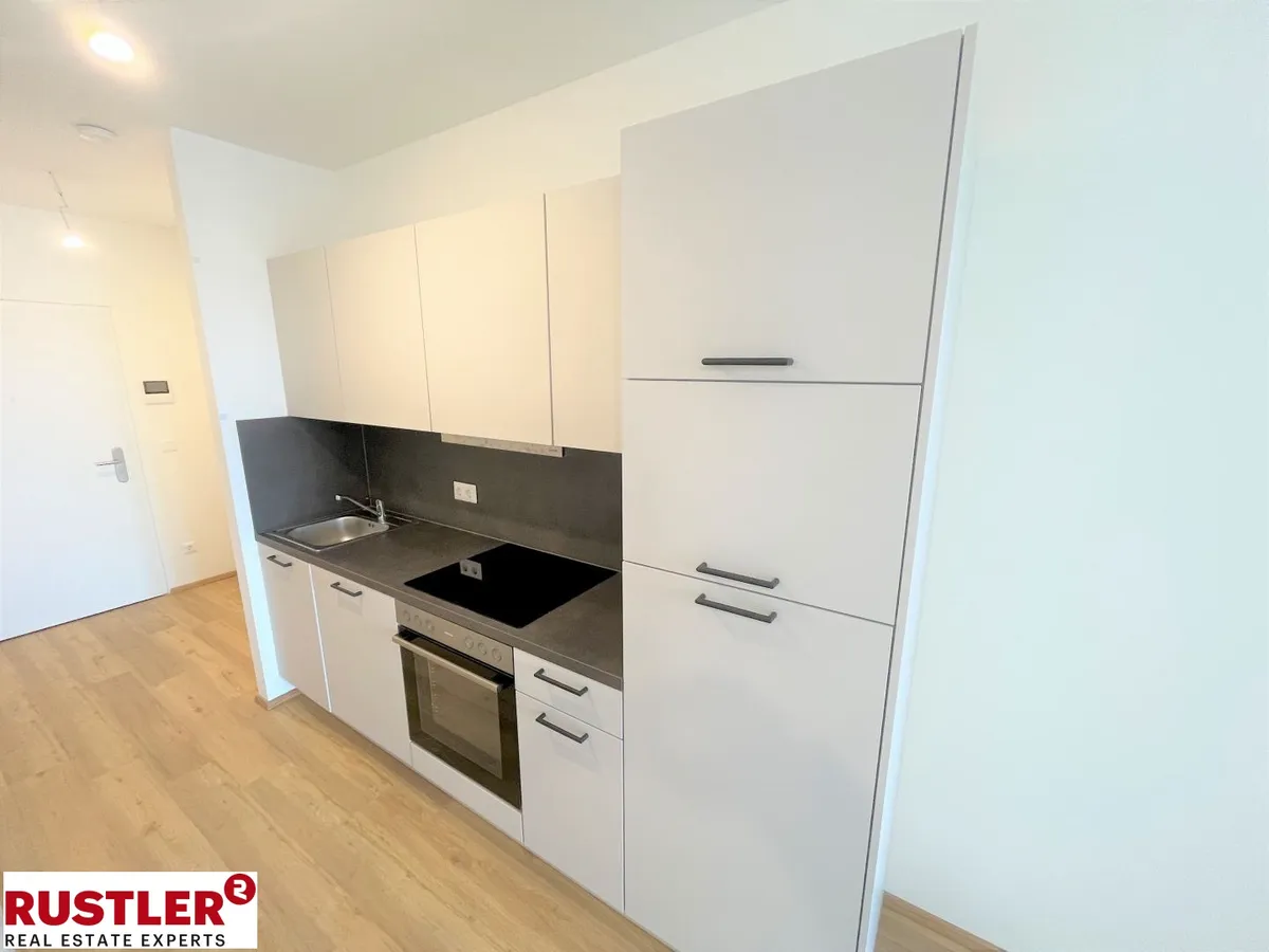 Wohnung – Graz - Ansicht 2