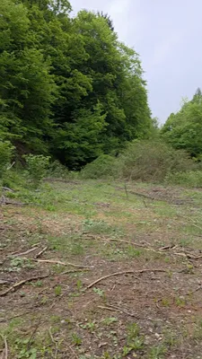 Grundstück kaufen in Oberpullendorf – 4 991 m², € 149.000 – Bild 4 von 4