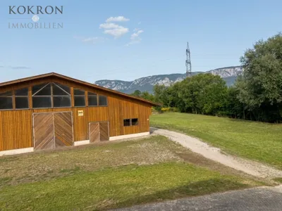7-Zimmer-Grundstück kaufen in Wiener Neustadt Land – 180 m², € 5.000.000 – Bild 4 von 10