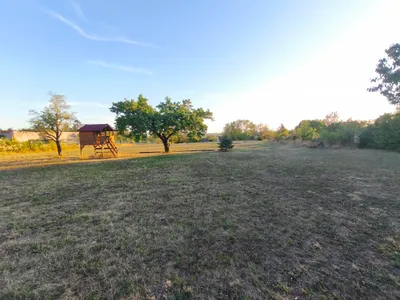3-Zimmer-Haus mieten in Gänserndorf – 80 m², € 1.300 – Bild 41 von 42