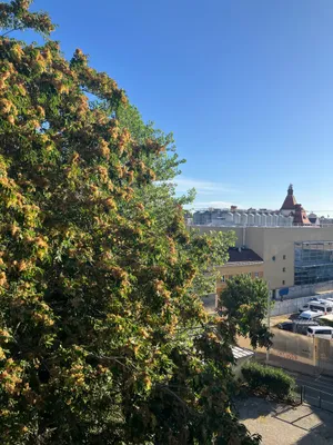 Wohnung zum Kauf in 1160 Wien Ottakring