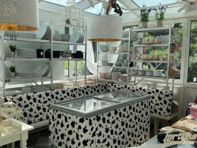 Gewerbeimmobilie kaufen in Kirchdorf an der Krems – 213 m², € 1.190.000 – Bild 3 von 19