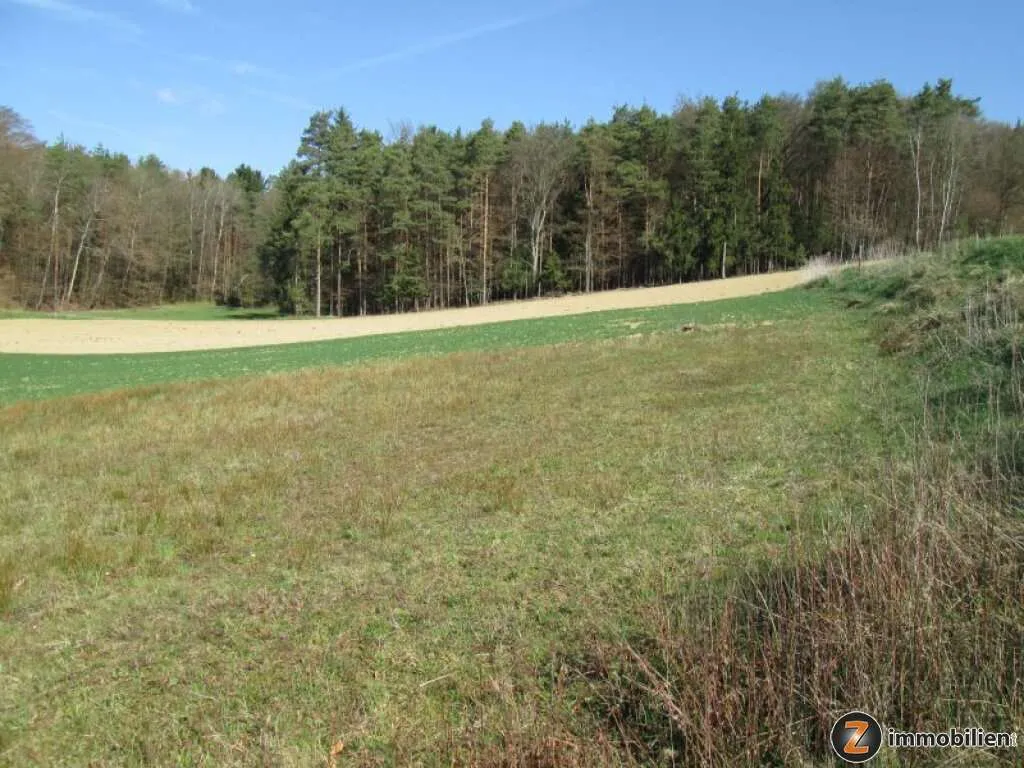Jennersdorf: Zentrumsnaher Bauplatz in sonniger Ruhelage – pohled 3