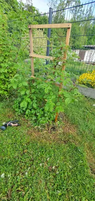 1-Zimmer-Immobilie kaufen in Wels-Land – 50 m², € 210.000 – Bild 15 von 23