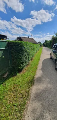 1-Zimmer-Immobilie kaufen in Wels-Land – 50 m², € 210.000 – Bild 5 von 23