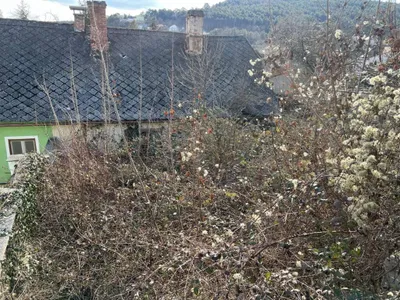 Grundstück kaufen in Wiener Neustadt Land – 447 m², € 130.000 – Bild 2 von 5