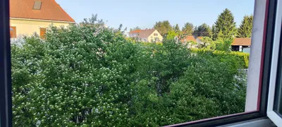 2-Zimmer-Wohnung mieten in Graz-Umgebung – 61,26 m², € 725 – Bild 6 von 10