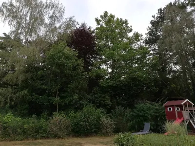 4-Zimmer-Haus kaufen in Mistelbach – 90 m², € 300.000 – Bild 2 von 15