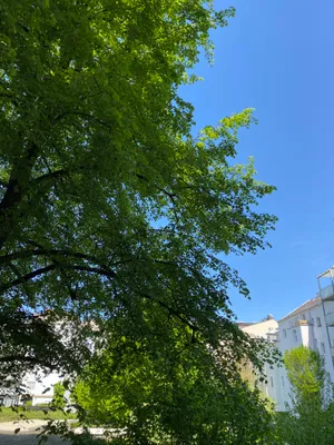 3-Zimmer-Wohnung mieten in Linz – 87 m², € 990 – Bild 6 von 29