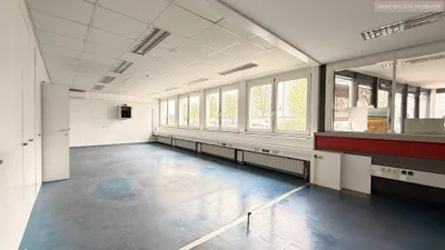1-Zimmer-Gewerbeimmobilie mieten in Bruck an der Leitha – 55 m², € 699 – Bild 3 von 11