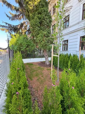 2-Zimmer-Wohnung mieten in Wien – 42 m², € 672 – Bild 11 von 17