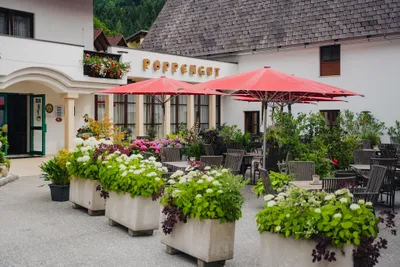 Gewerbeimmobilie kaufen in Kirchdorf an der Krems – 19 000 m², € 3.200.000