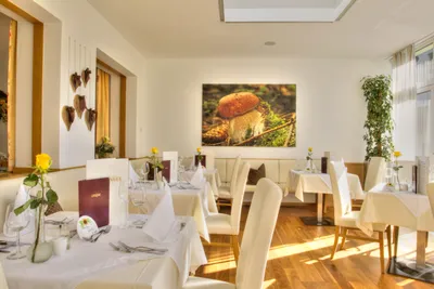 Gewerbeimmobilie kaufen in Kirchdorf an der Krems – 19 000 m², € 3.200.000 – Bild 3 von 11
