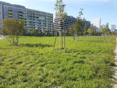 3-Zimmer-Wohnung mieten in Wien – 78 m², € 1.580 – Bild 1 von 31
