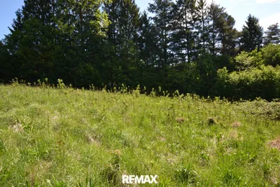 Grundstück kaufen in Sankt Pölten Land – 6 630 m², € 1.458.600 – Bild 6 von 15