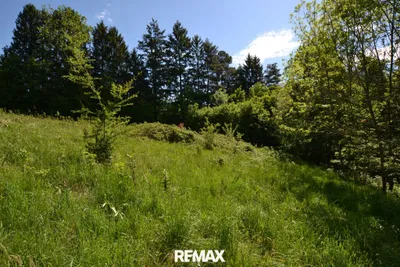 Grundstück kaufen in Sankt Pölten Land – 6 630 m², € 1.458.600 – Bild 4 von 15