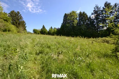 Grundstück kaufen in Sankt Pölten Land – 6 630 m², € 1.458.600 – Bild 5 von 15