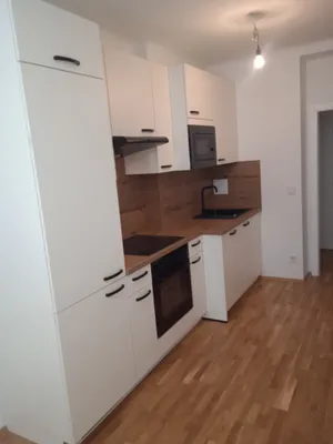 2-Zimmer-Wohnung mieten in Wien – 38 m², € 784 – Bild 9 von 10