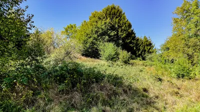 Grundstück kaufen in Vöcklabruck – 2 659 m², € 315.000 – Bild 7 von 7