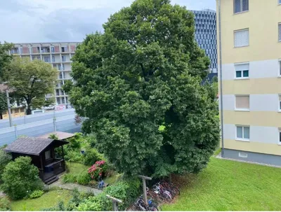 3-Zimmer-Wohnung kaufen in Graz – 75 m², € 204.000 – Bild 12 von 12