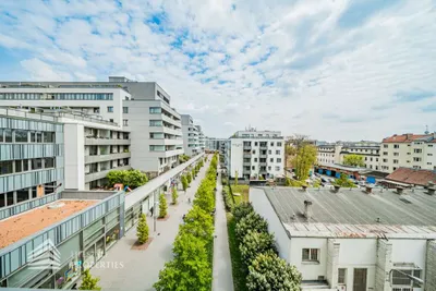6-Zimmer-Gewerbeimmobilie mieten in Wien – 244 m², € 4.937 – Bild 11 von 14