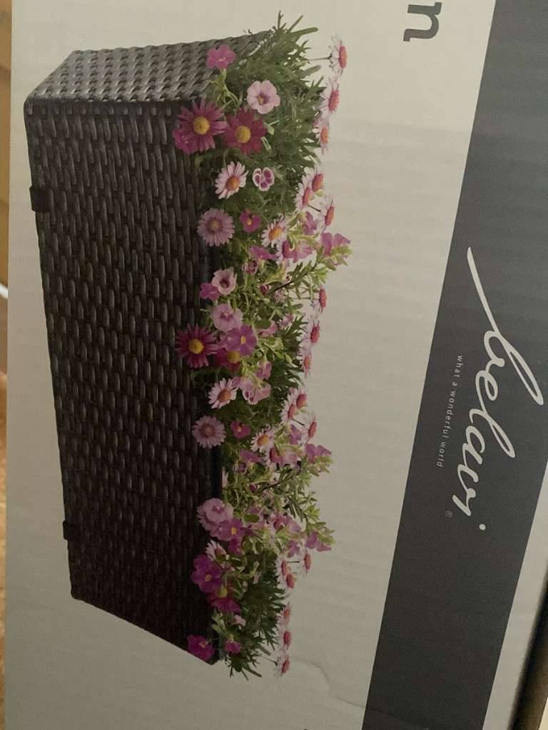 lavendel in blumenkästen pflanzen 3er Box Blaue Lavendel Pflanzen kaufen – Green Me Up